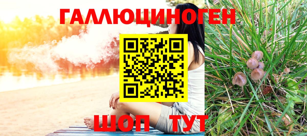 Галлюциногенные грибы Psilocybine cubensis Отрадное